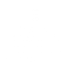 Informe de las metas fisico financieras