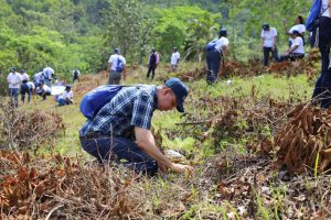 Jornada de reforestación de Presupuesto Jornada de reforestación de Presupuesto